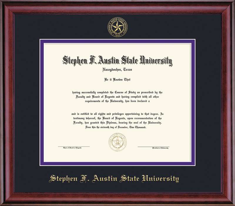 Framing Success Academic Frame