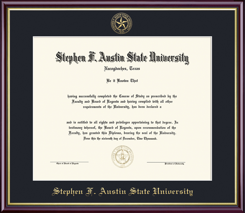 Framing Success Academic Frame