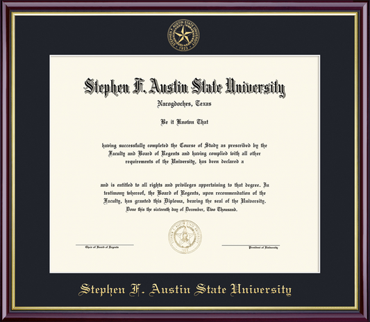 Framing Success Academic Frame