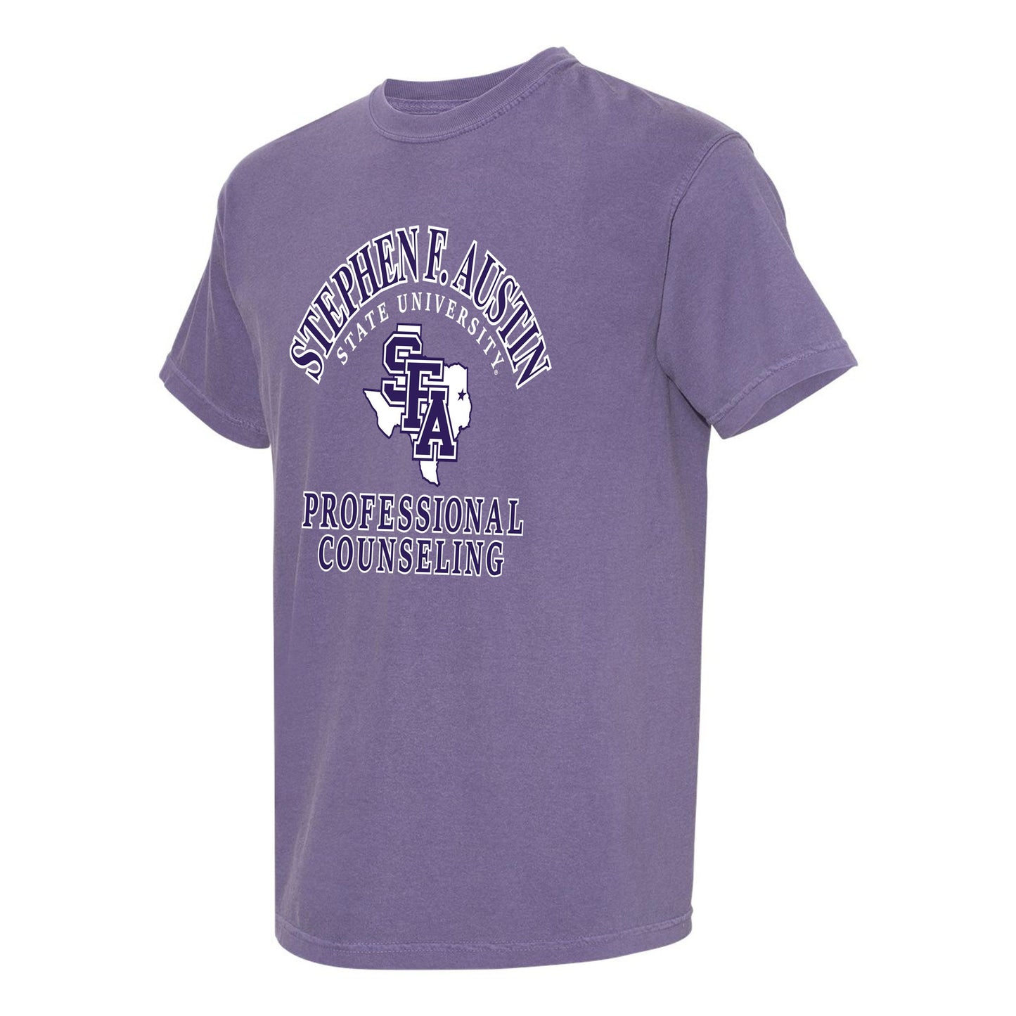 MV Professional Counseling