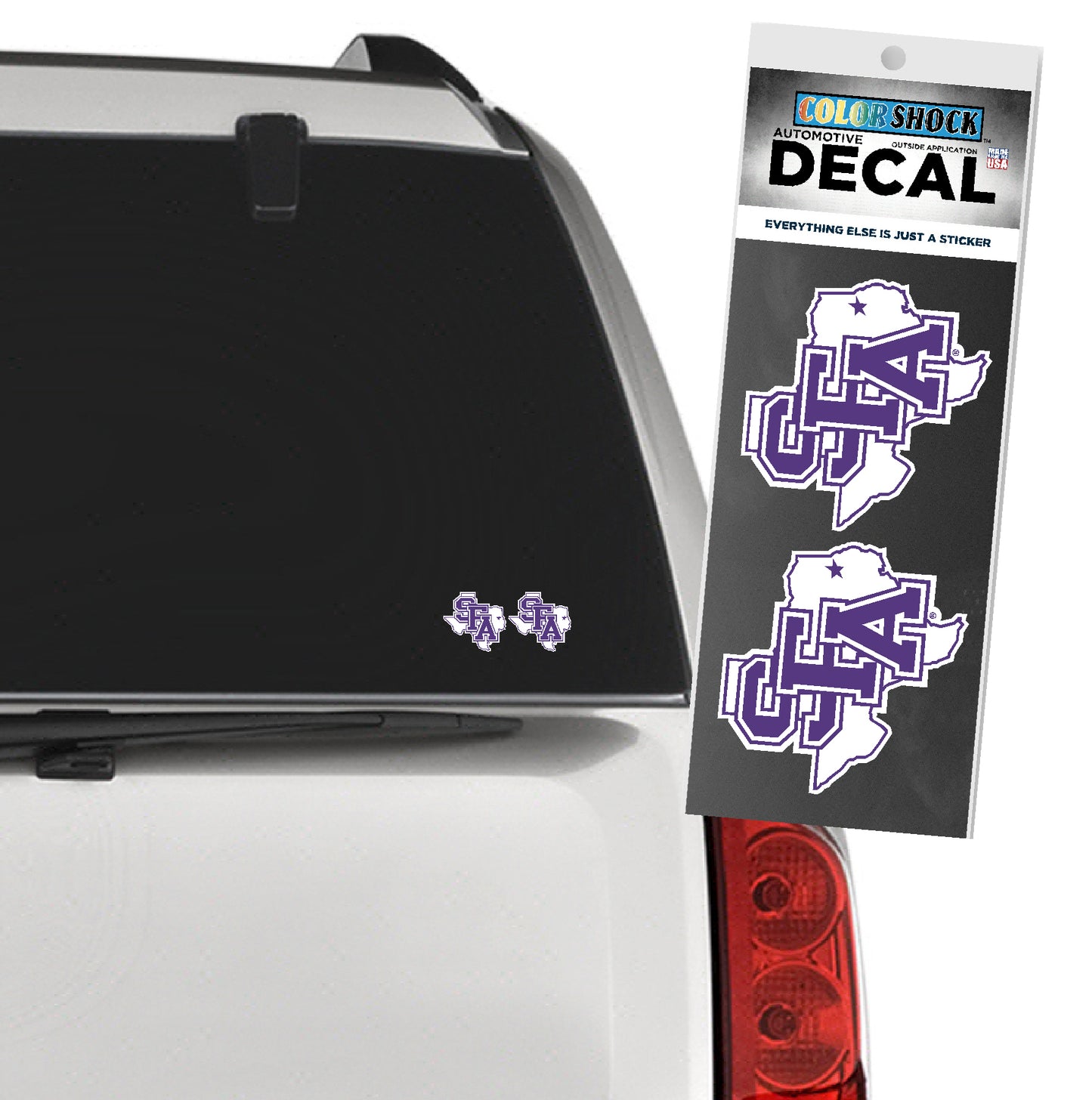 Color Shock SFA TX State Decal (2 Piece)