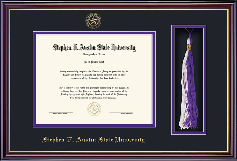 Framing Success Tassel Frame