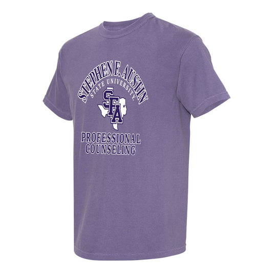 MV Professional Counseling